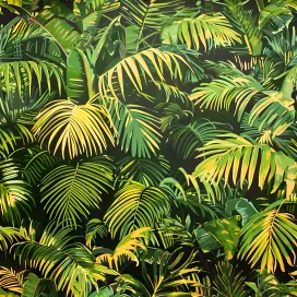 Jungle 492